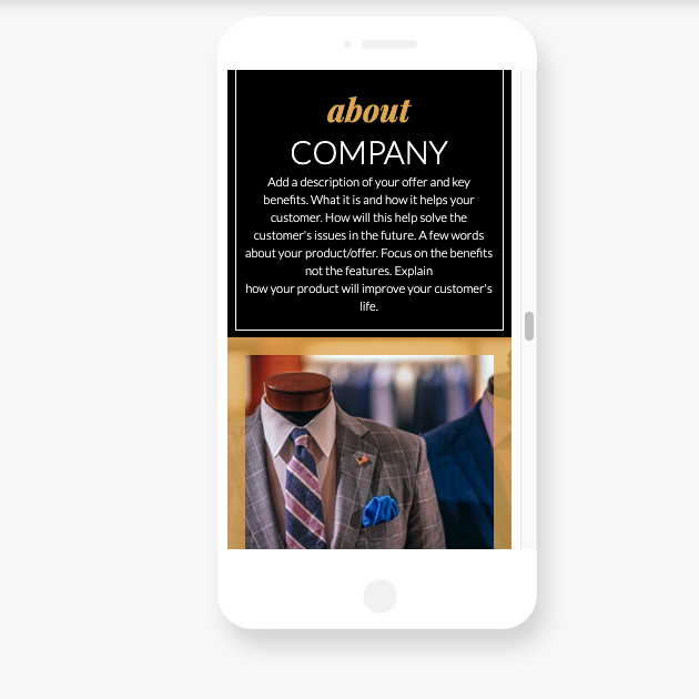 "about company" section on a landing page